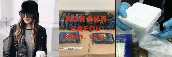 гашик Верея