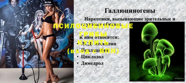 эйфоретик Новокубанск