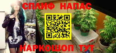 индика Абинск