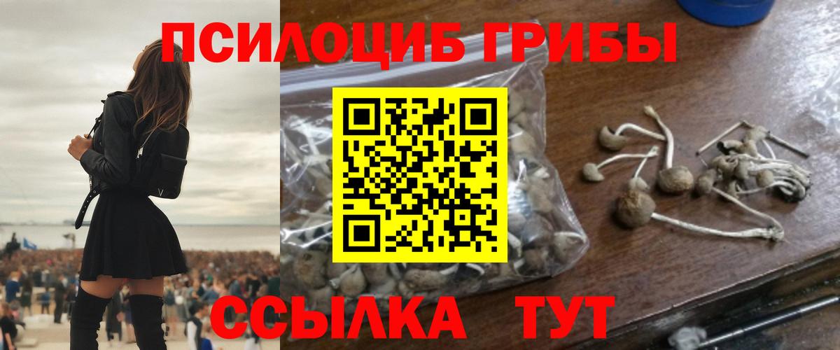 Галлюциногенные грибы MAGIC MUSHROOMS  купить наркоту  Галлюциногенные грибы Psilocybe  Кингисепп  Вход с VPN 