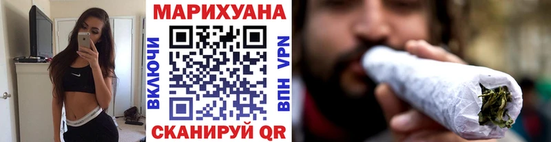 наркота  Кингисепп  Каннабис сатива 